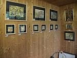 DSC00136.JPG